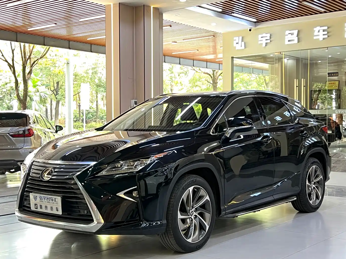 Lexus RX 2016 300 4WD Elegance Edition (China V)