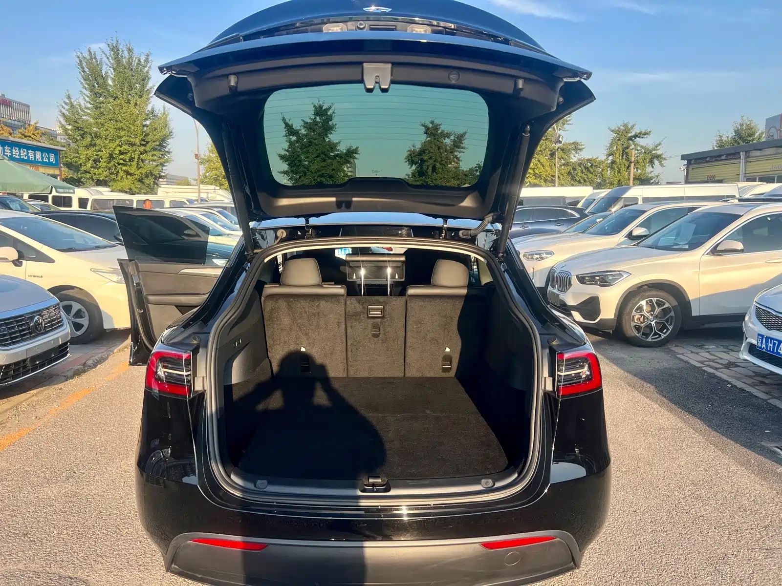 Photo 15 - Tesla Model Y