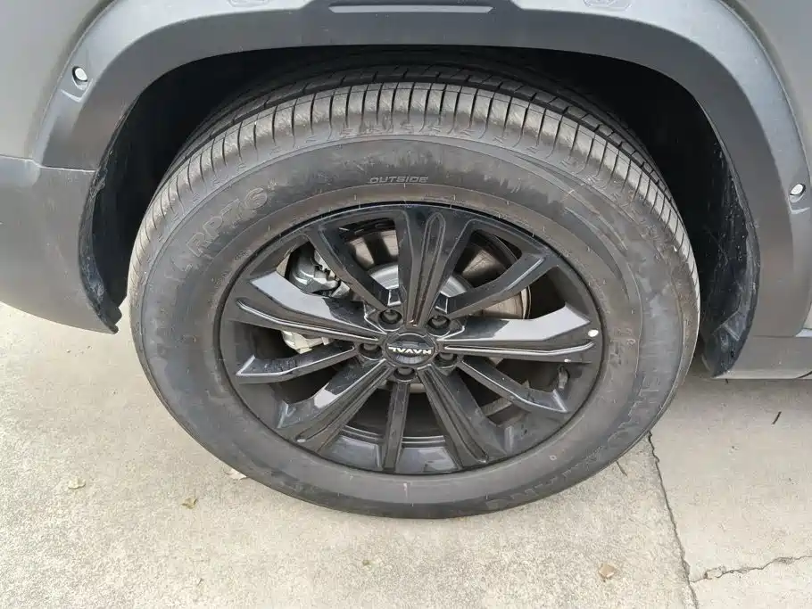 Haval Menglong 2025 2025 2.0T 4WD Ultra