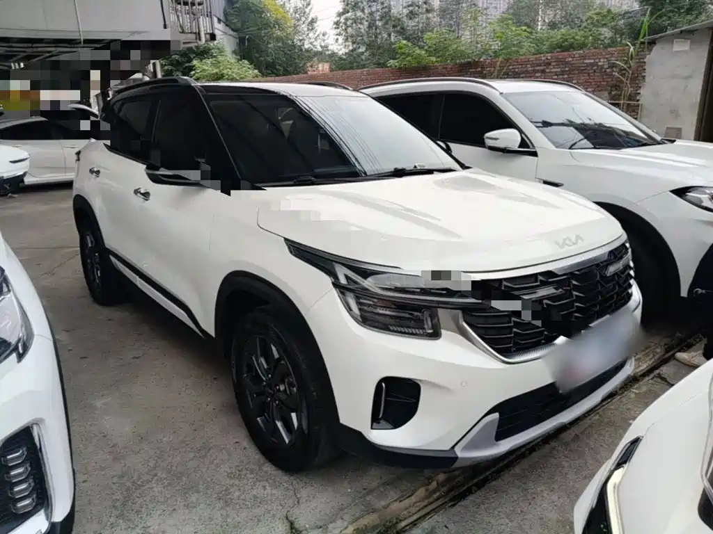 Kia Seltos 2024 2023 1.5L CVT Luxury Edition