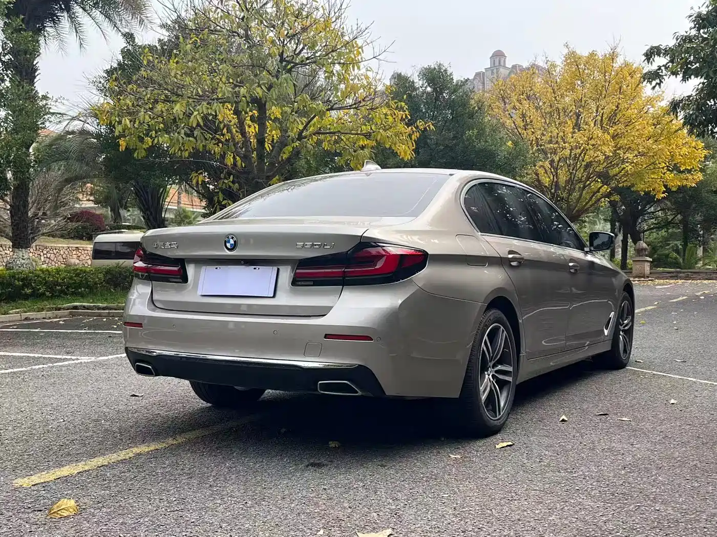 BMW 5 Series 2021 530Li Leading Luxury Package фото 7