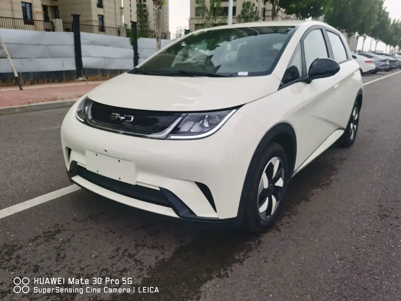 BYD Dolphin 2026 2025 420km Freedom Edition
