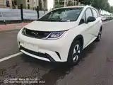Фото 1 - BYD Dolphin