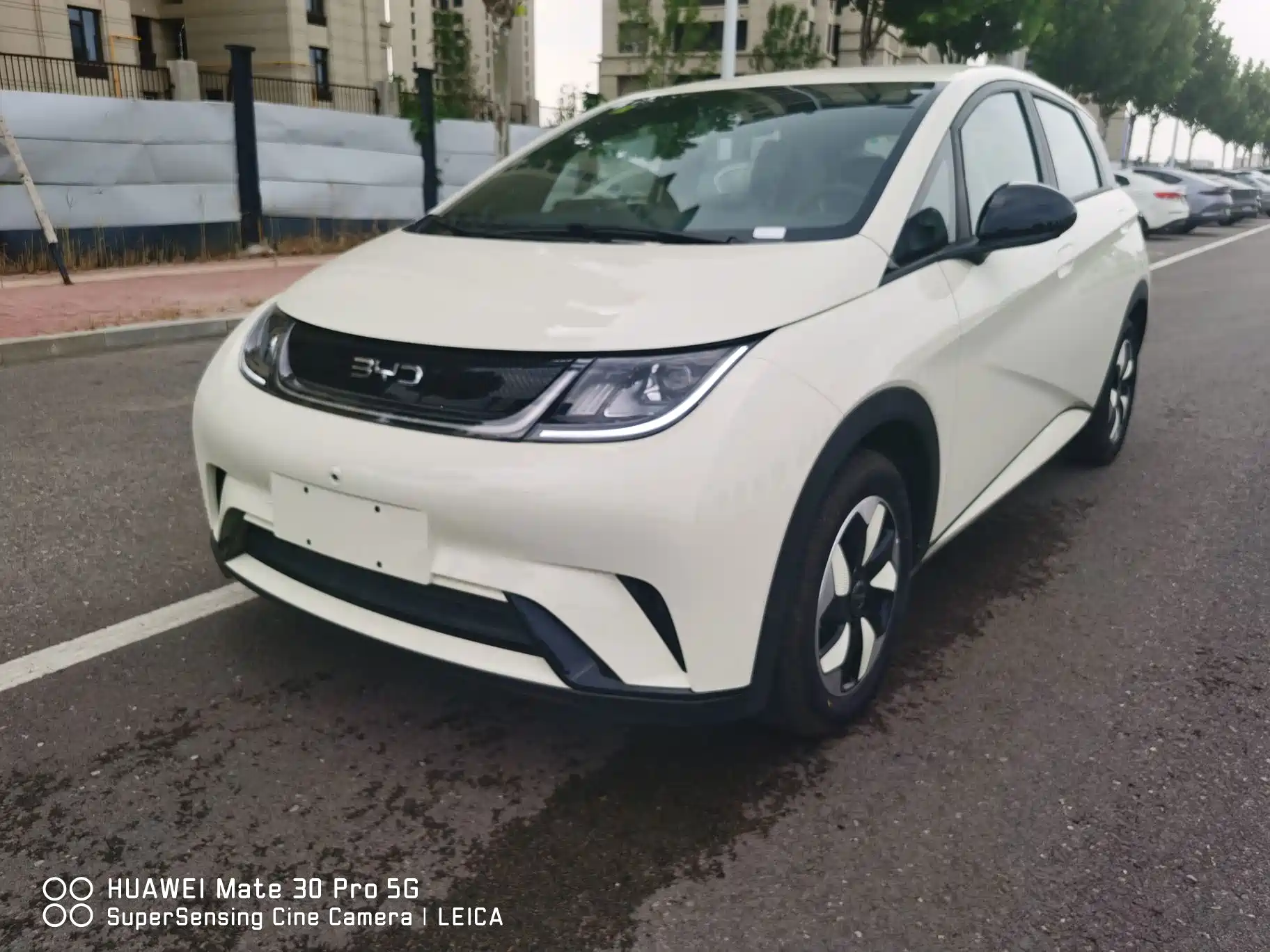 Фото 1 - BYD Dolphin