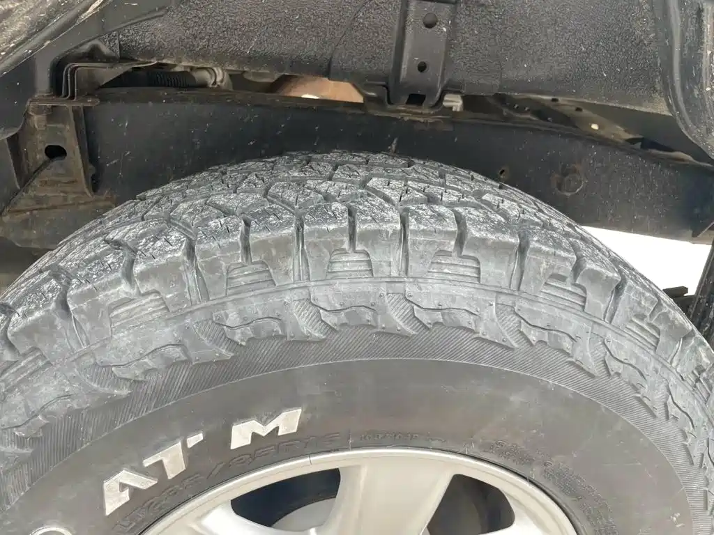 Isuzu Ruimai 2021 2020 2.8T Classic 2WD Diesel China VI Premium Standard Wheelbase JE493ZLQ6E