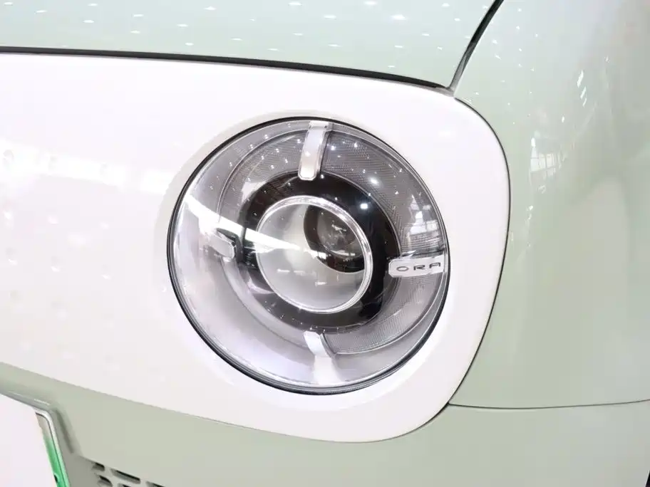 Ora Black Cat 2022 2022 301km Cute Pet Edition (LFP)