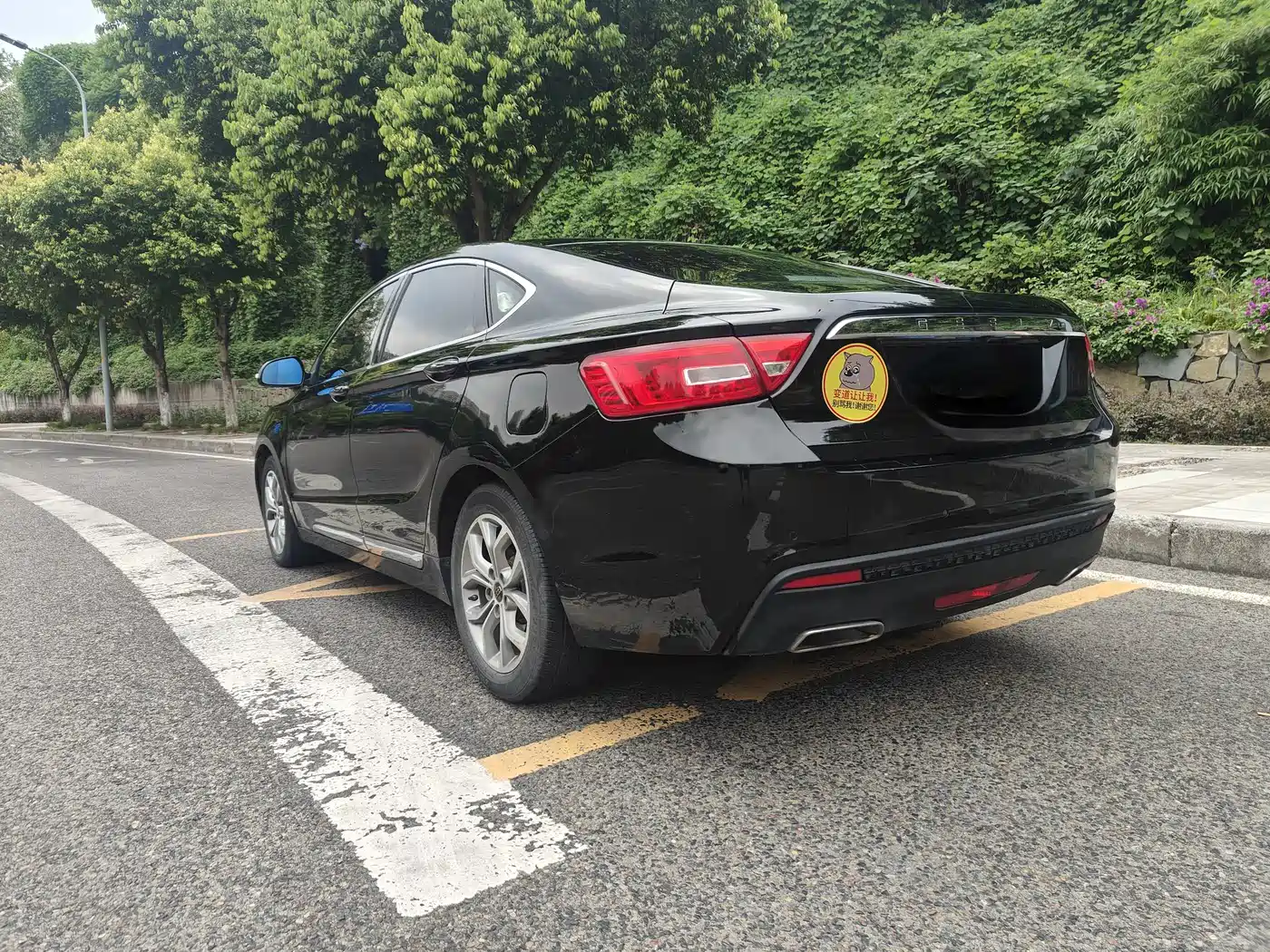 Фото 6 - Geely Borui