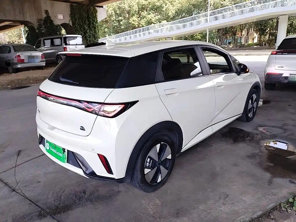 Фото 7 - BYD Dolphin