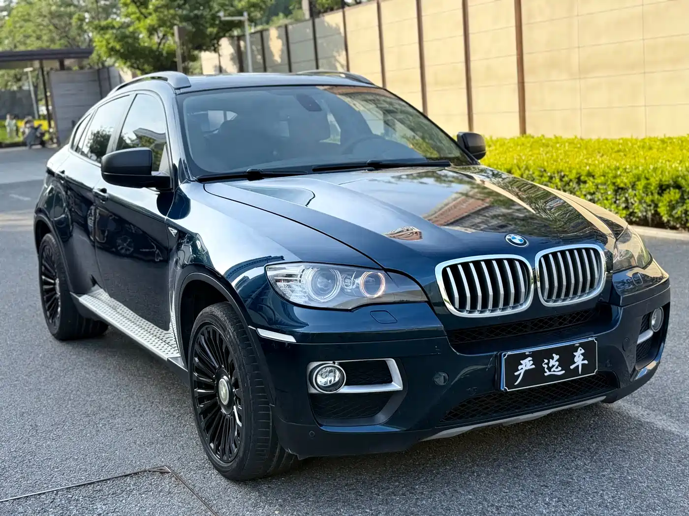BMW X6 2013 xDrive35i фото 3