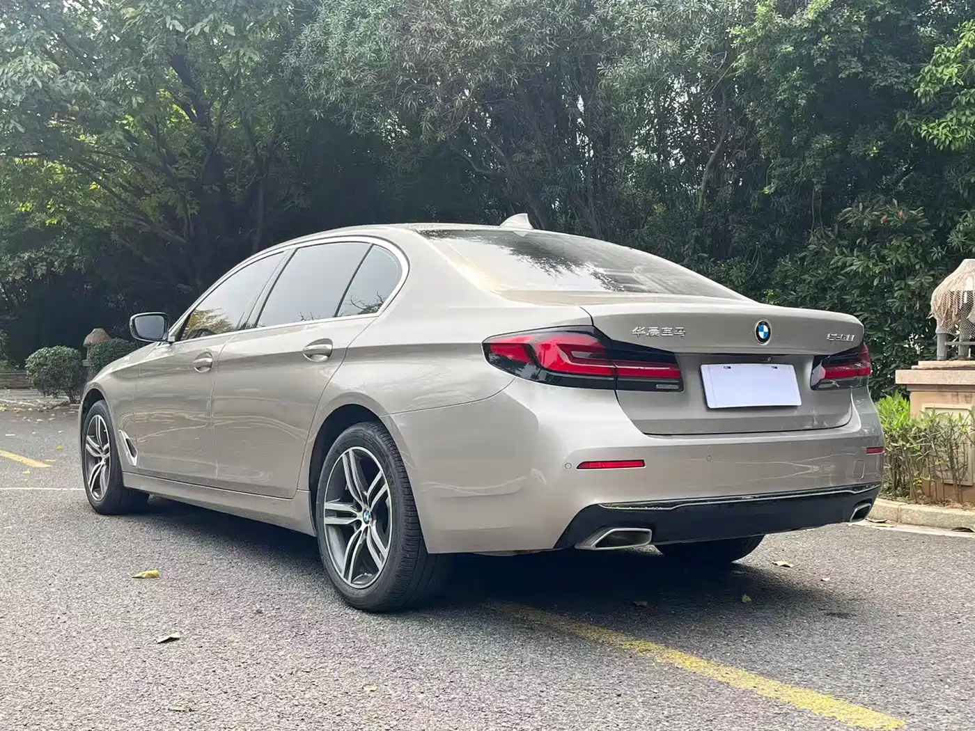 BMW 5 Series 2021 530Li Leading Luxury Package фото 9