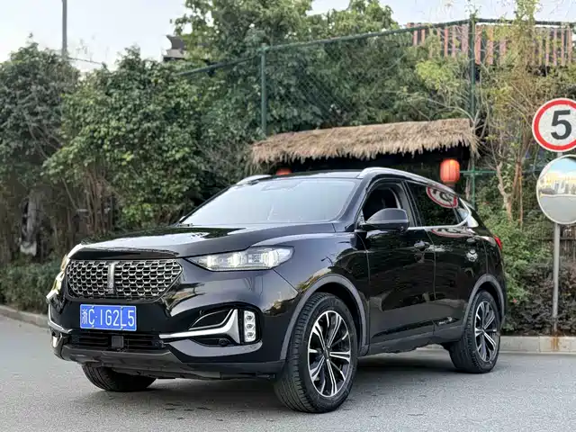 WEI PAI WEI BRAND VV6