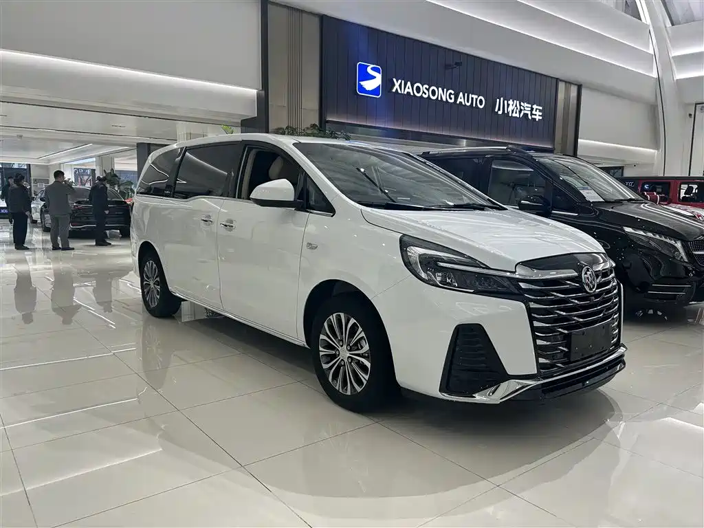 Buick GL8 2023 Land Business Class 652T Luxury фото 3
