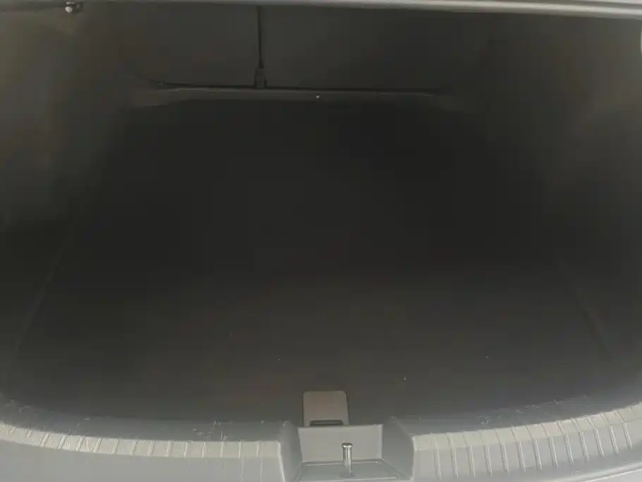 Photo 4 - Volkswagen Sagitar