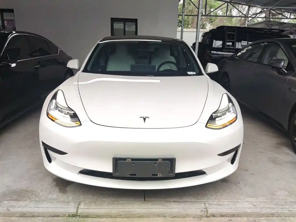 Tesla Model 3 2020 2020 Standard Range Rear-Wheel Drive Upgrade