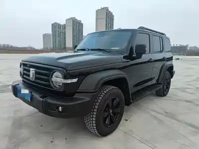 Tank 300