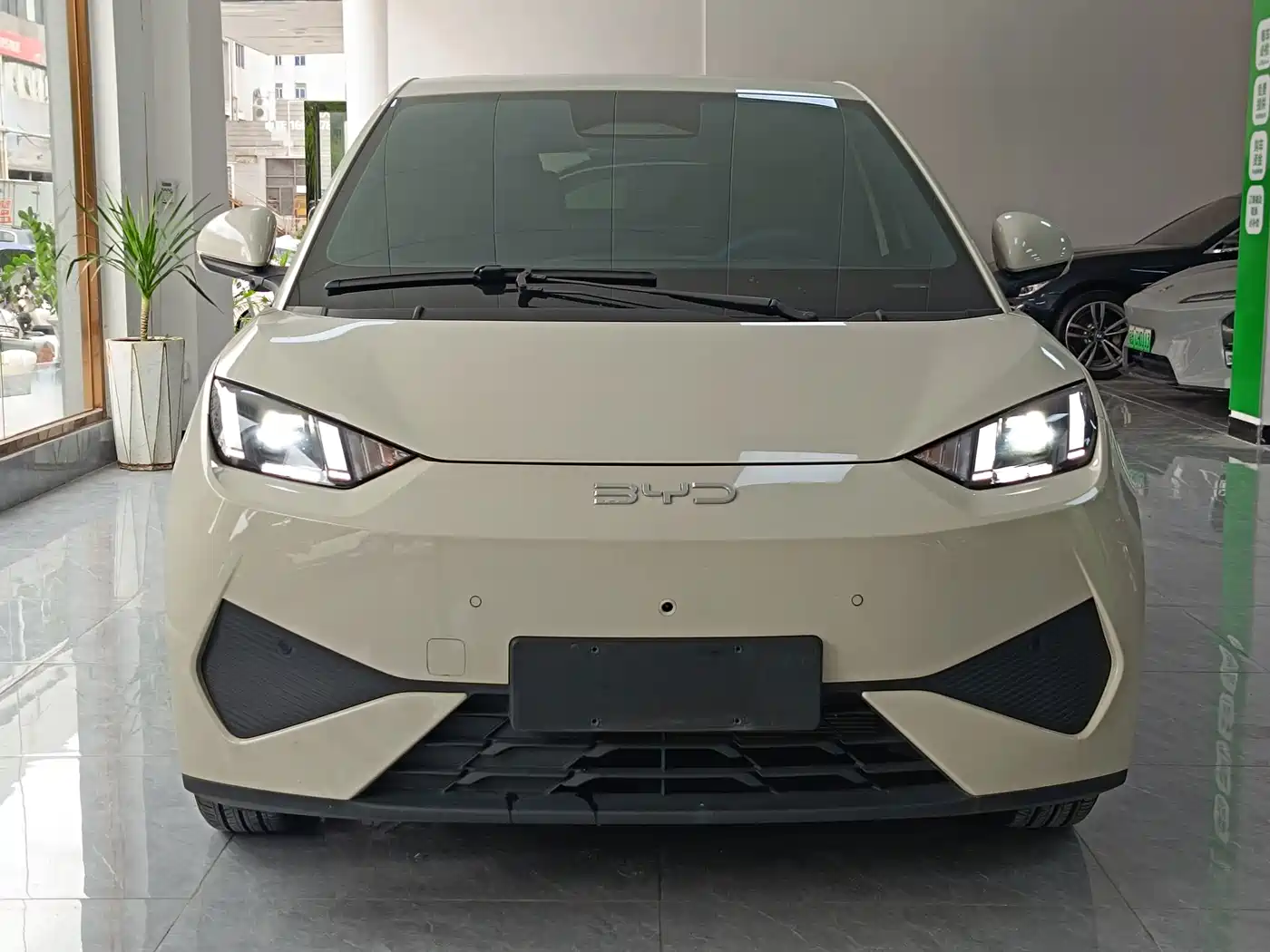 BYD Seagull 2026