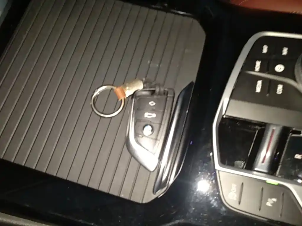 BMW iX3 2024 2023 Pioneer Type
