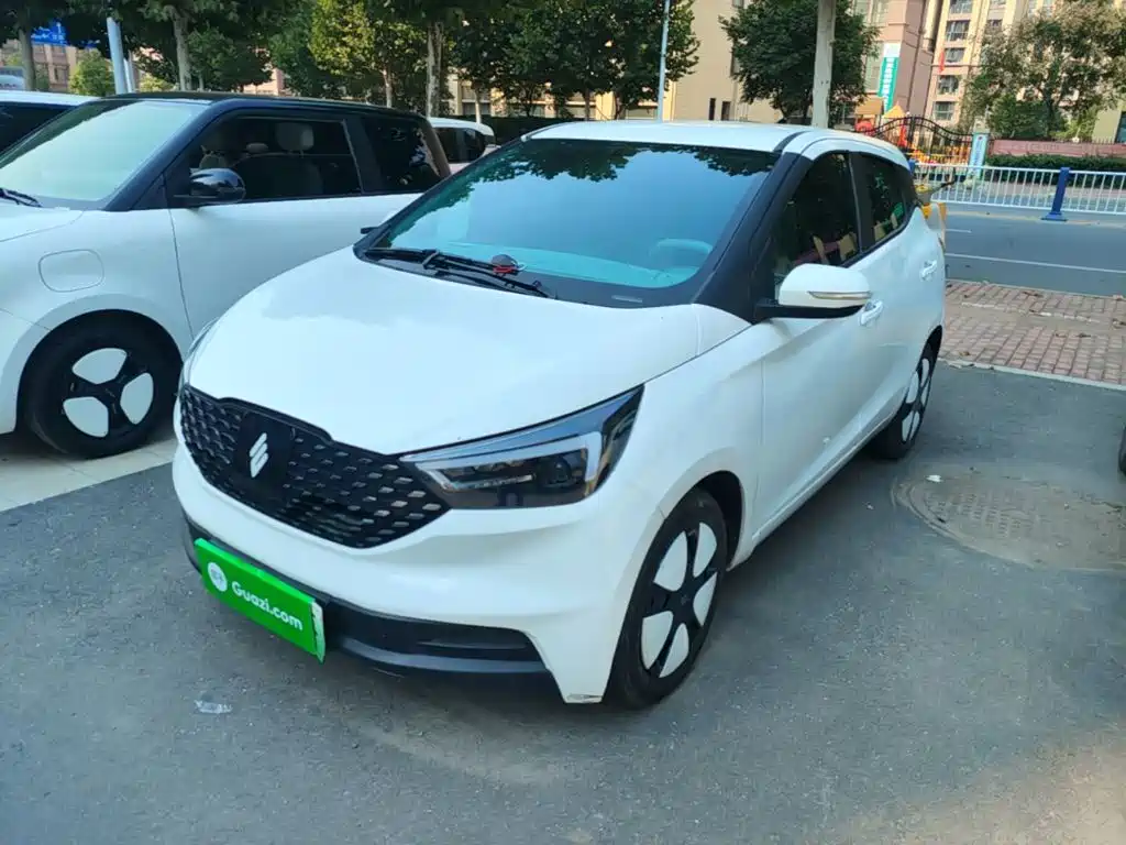 JMCG New Energy Yizhi EV3 2024 2024 Youth Edition 330KM Comfort