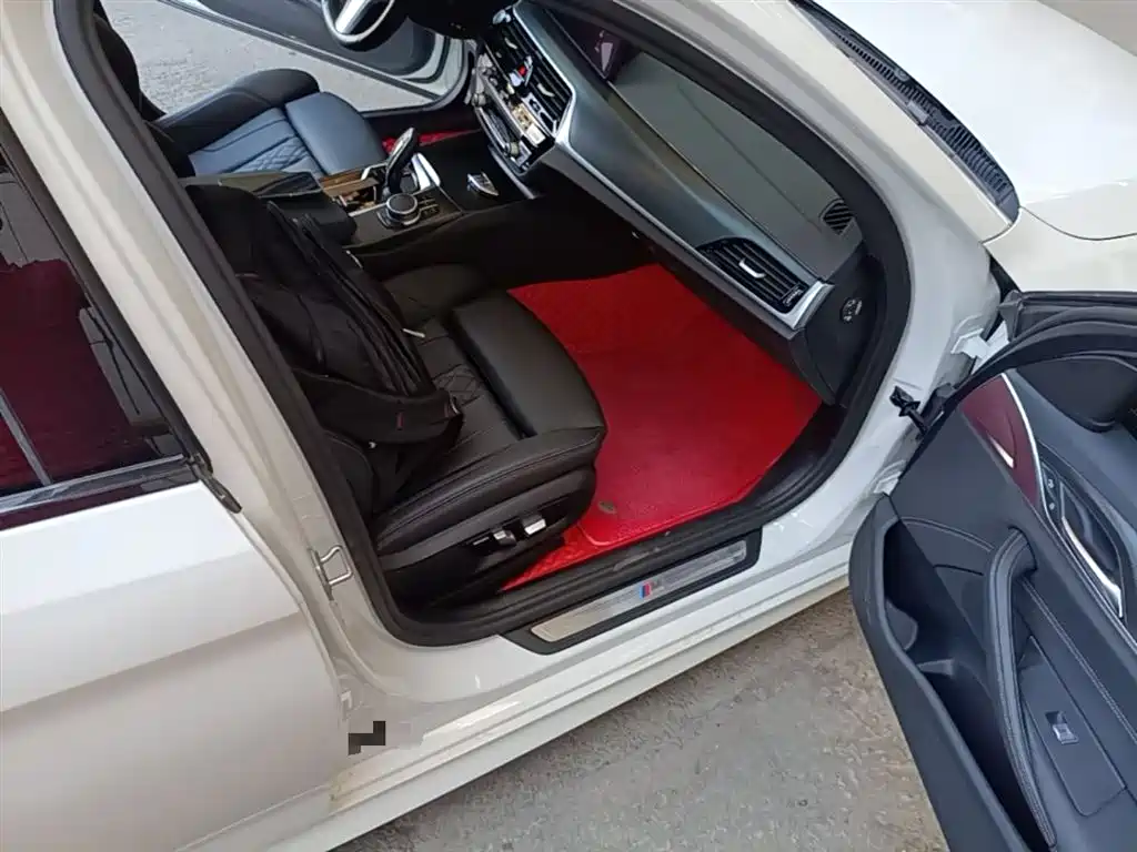 BMW 5 Series (Import) 2021 525i M Sport Package фото 11
