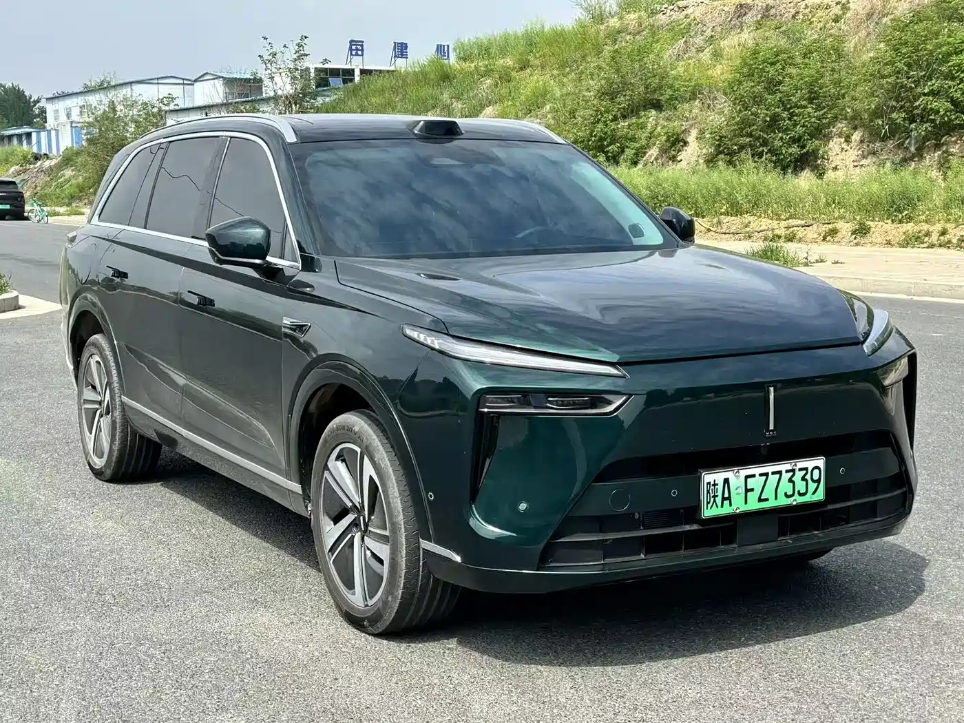 WEI PAI WEI BRAND BLUE MOUNTAIN