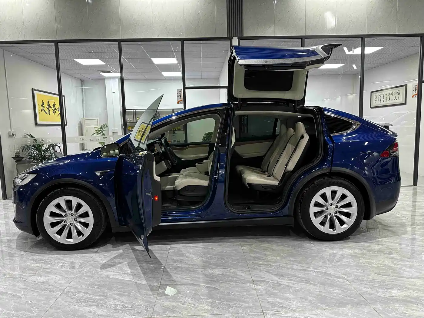 TESLA MODEL X