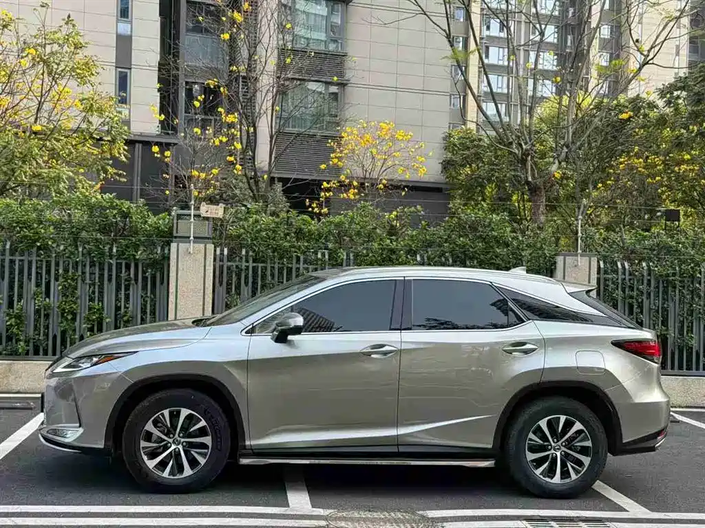 Lexus RX 2020 300 2WD Comfort Edition China V фото 2