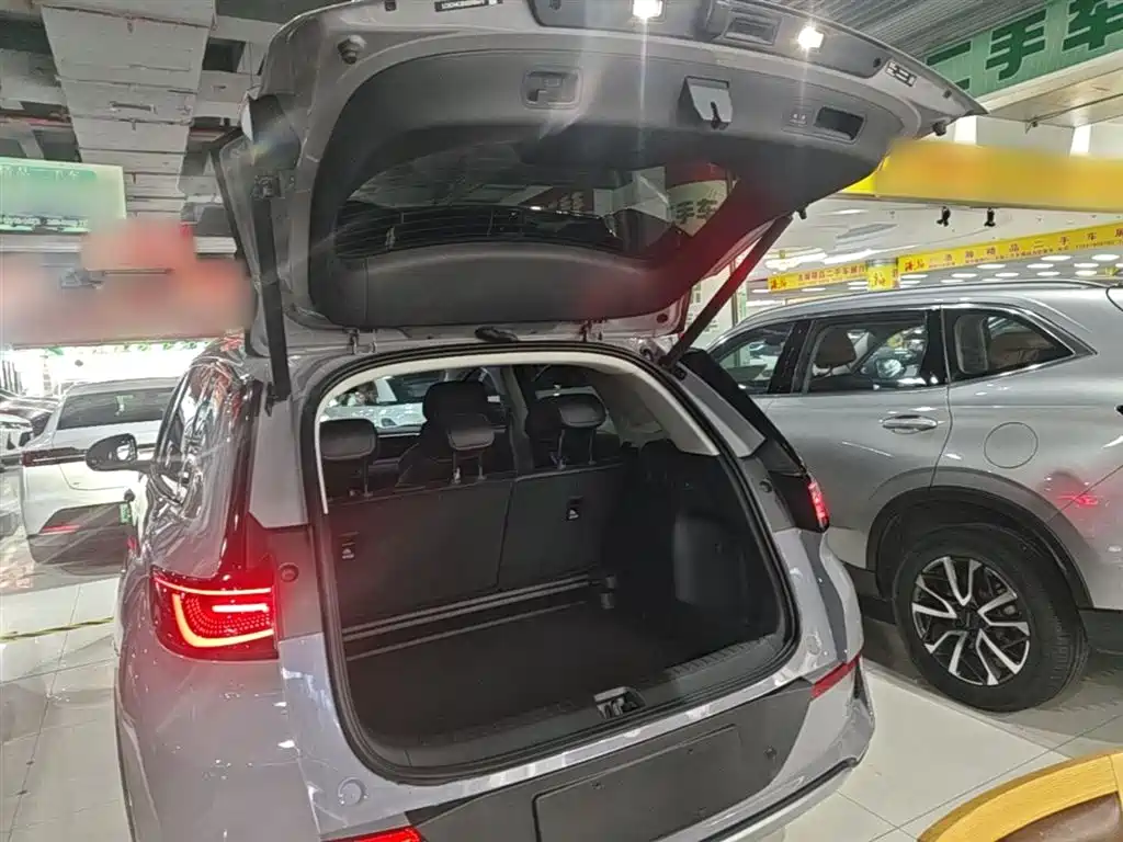 BYD Hai Shi 05 EV 2025 520KM Flagship Smart Navigation Edition фото 19