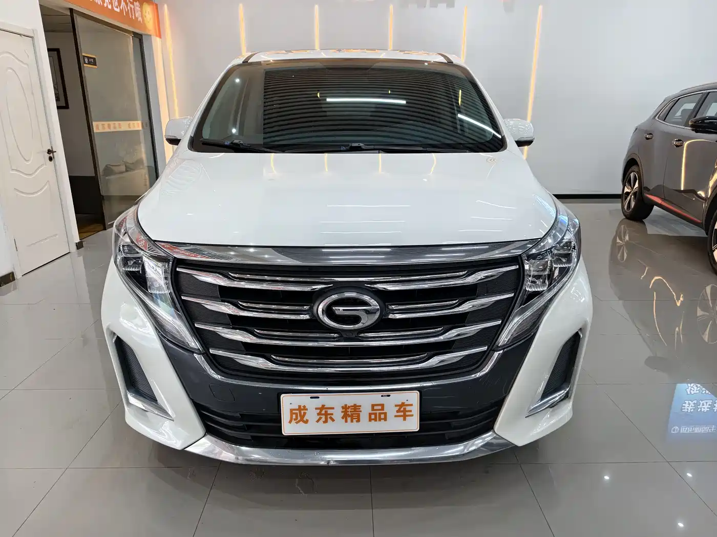 GAC Trumpchi Trumpchi M8 2020 Pilot 390T Premium Edition фото 2
