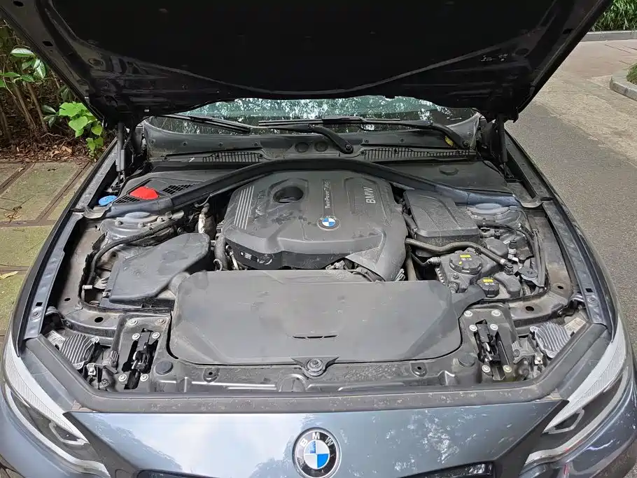 Photo 10 - BMW 2 Series (Import)