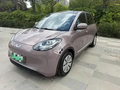 Wuling Bingo