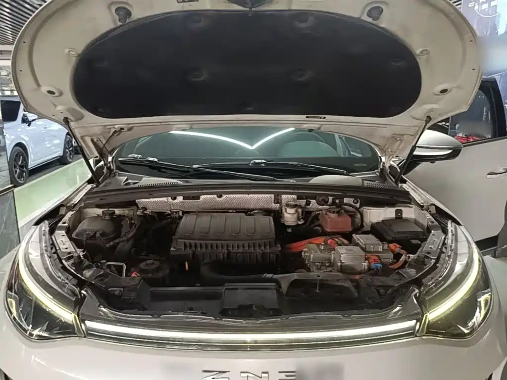 Denza X 2021 2020 Model PHEV Flagship Edition