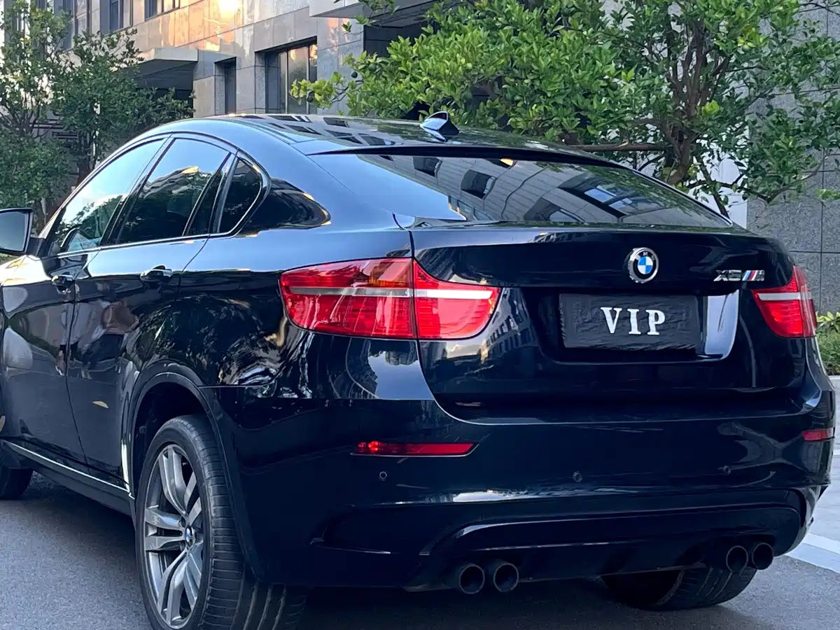 BMW X6 M 2011 2010 X6 M