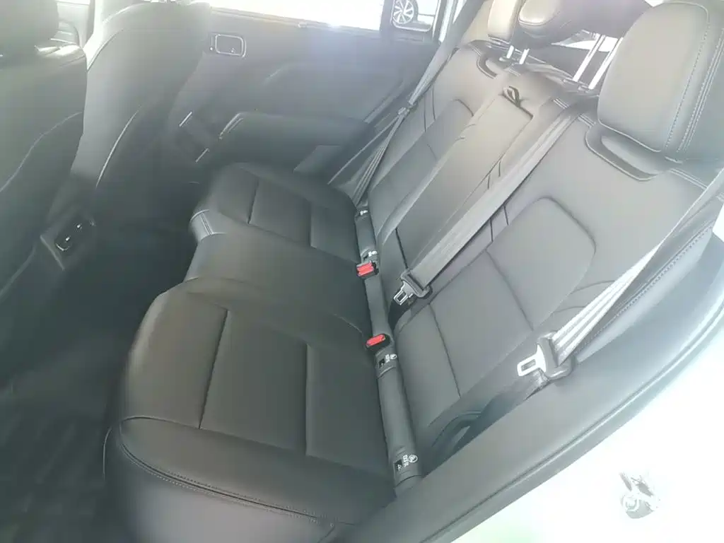 Haval Meng Long NEV 2025 2025 Model Base Version