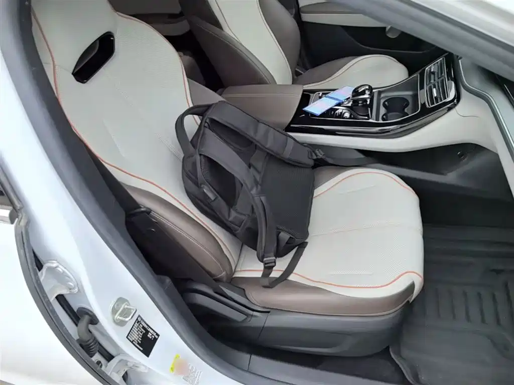 BYD Qin PLUS 2024 Glory Edition EV 420KM Leading фото 25