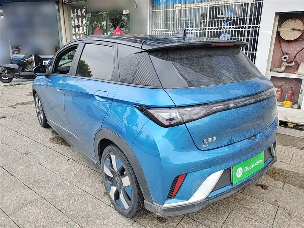 BYD Dolphin 2021 401km Knight Edition фото 5
