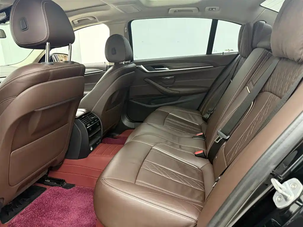 BMW 5 Series 2020 530Li Leading Luxury Package фото 10