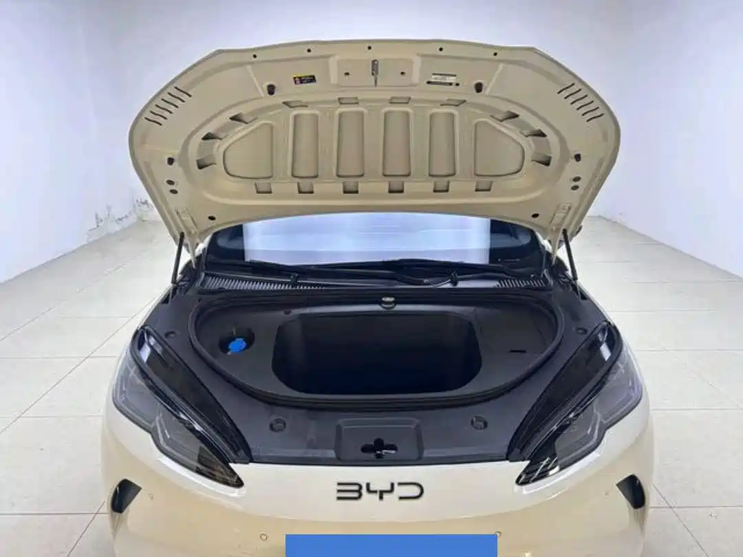 BYD Seal 06 New Energy 2025 Model EV 545KM Premium фото 8