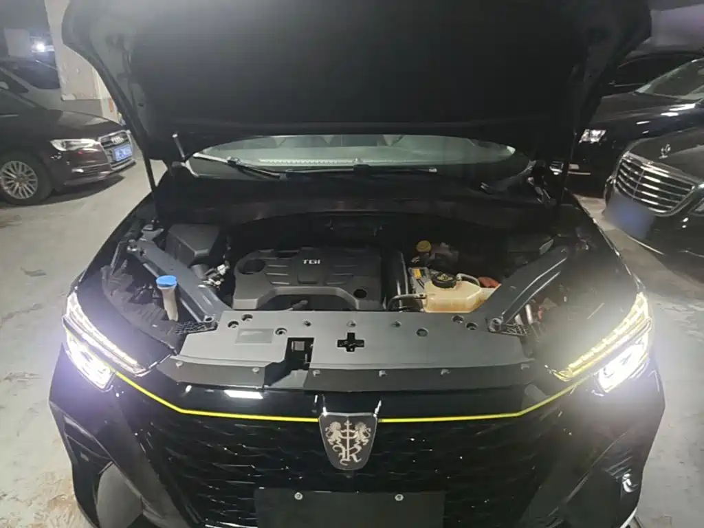 Фото 20 - Roewe RX5 New Energy
