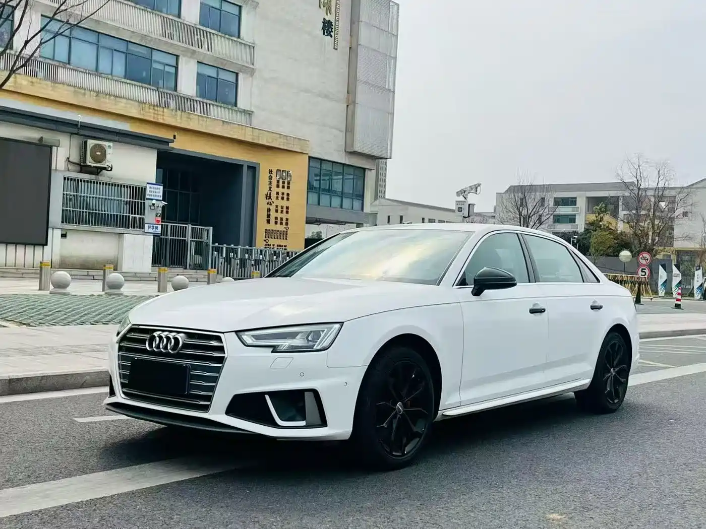 Audi A4L 2019 40 TFSI Fashion (China VI)