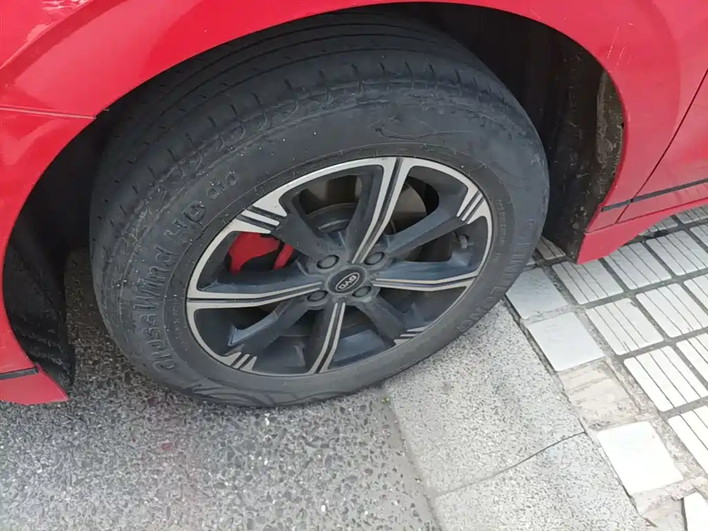 BYD e2 2020 Upgraded Long Range Luxury фото 23