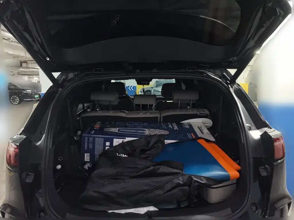 BYD Tang New Energy 2025 2025 Smart Driving Edition DM-i 115KM Premium