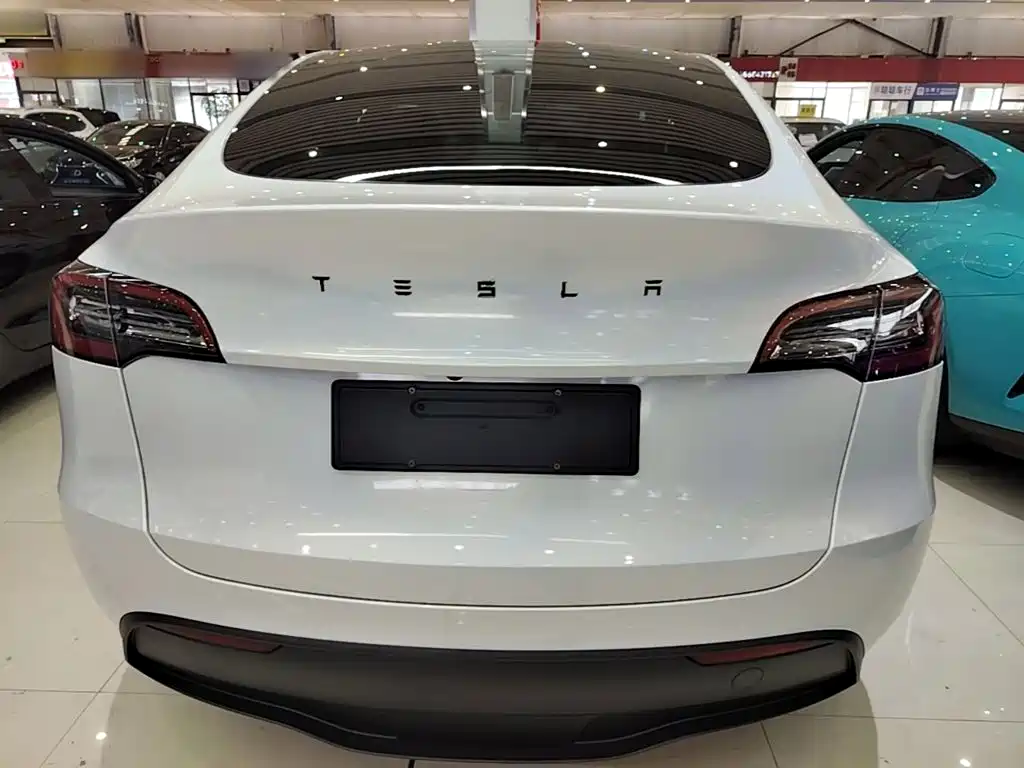 Tesla Model Y 2021 2021 Long Range All-Wheel Drive 3D7