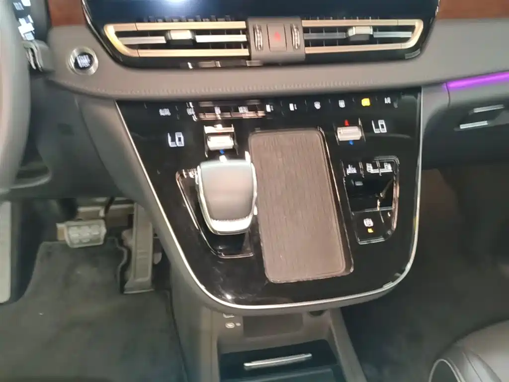 Hongqi HQ9 PHEV 2024 Model 2.0T AWD Luxury Edition фото 14