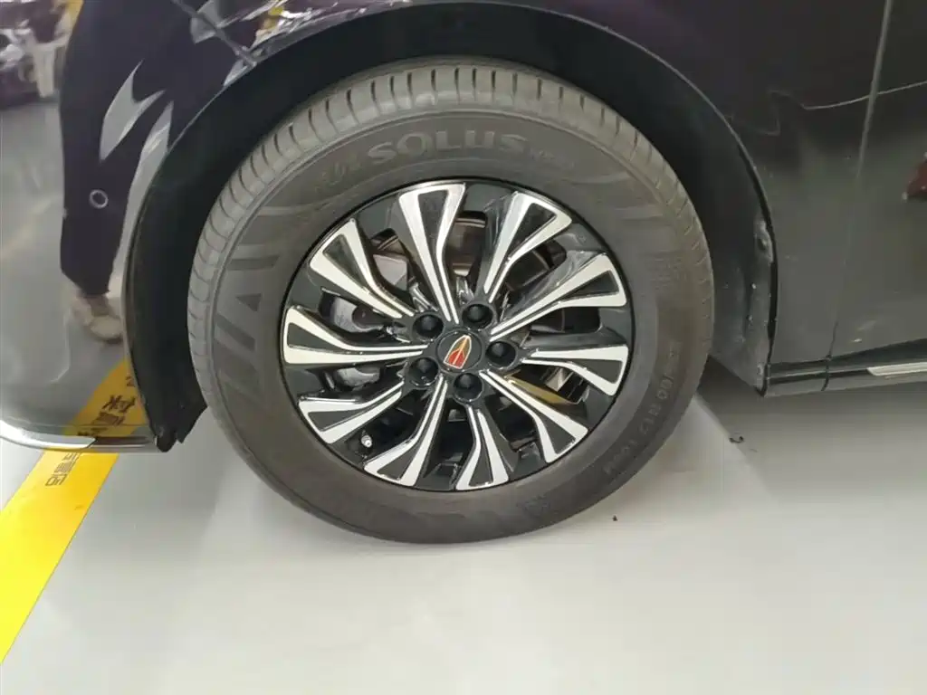 Hongqi HQ9 PHEV 2024 Model 2.0T AWD Luxury Edition фото 23