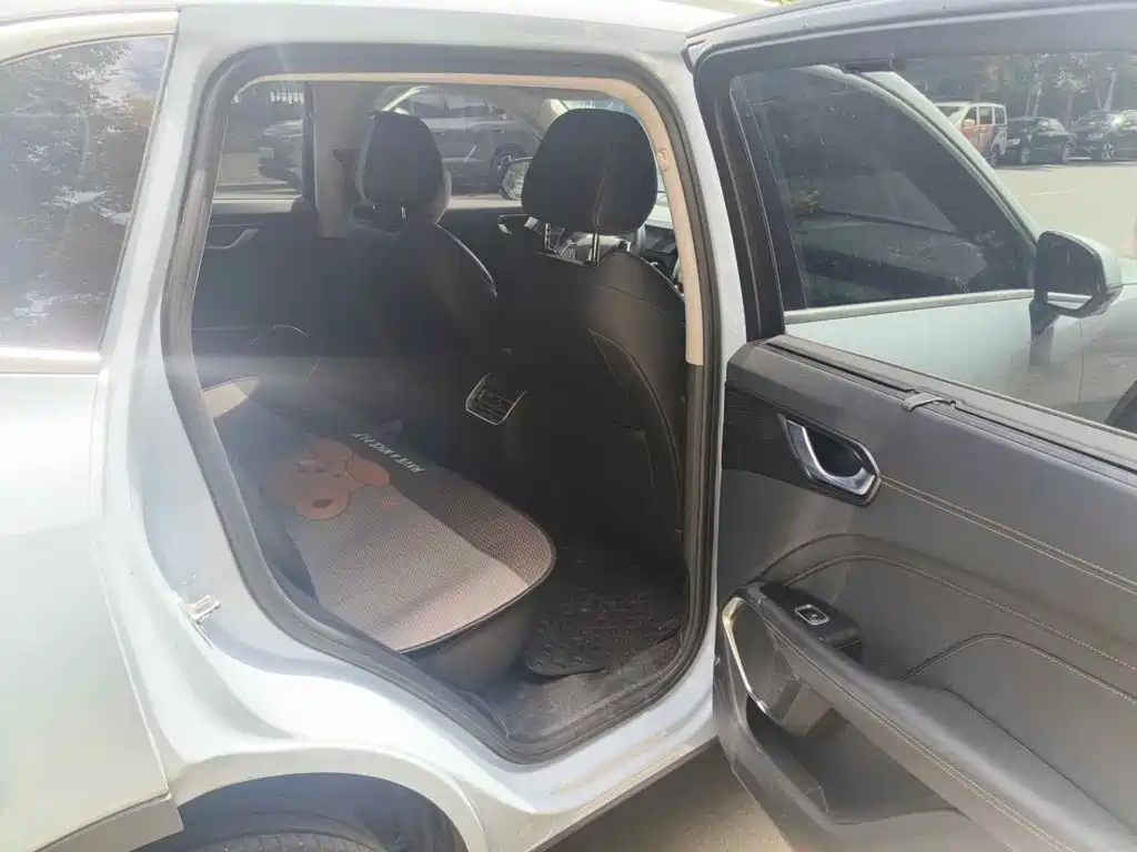 WEY Latte DHT 2022 2022 1.5T DHT Large