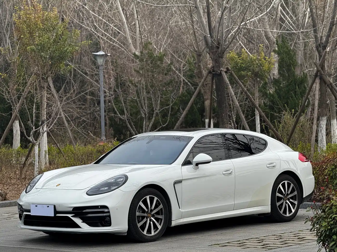 Porsche Panamera 2014 Panamera 3.0T