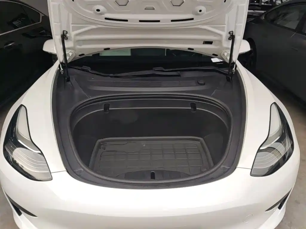 Tesla Model 3 2020 2020 Standard Range Rear-Wheel Drive Upgrade