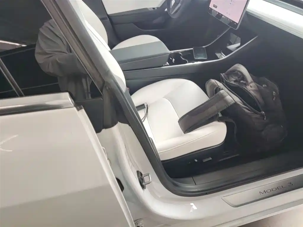 Tesla Model 3 2020 2020 Standard Range Rear-Wheel Drive Upgrade