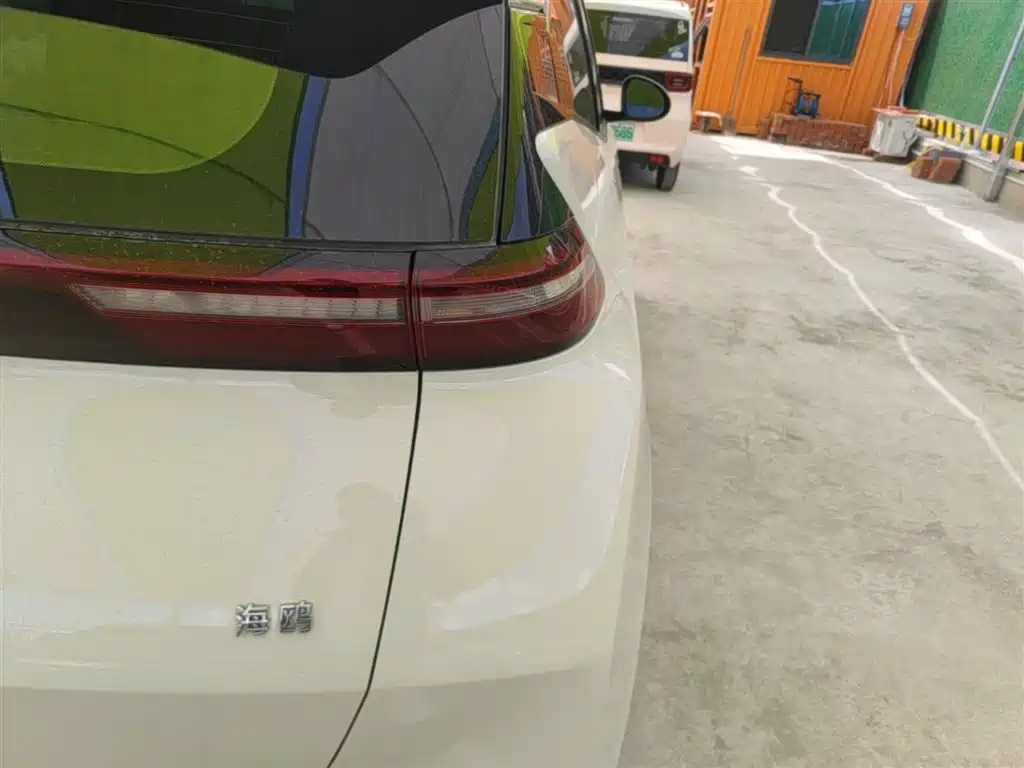 BYD Seagull 2024 Glory Edition 305km Vitality Edition фото 8