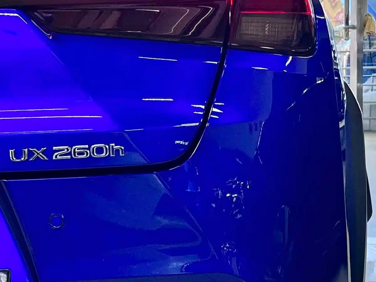 Lexus UX 2020 260h F SPORT Edition фото 16